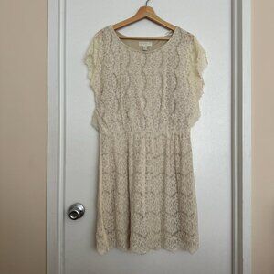 Ivory Lace Dress